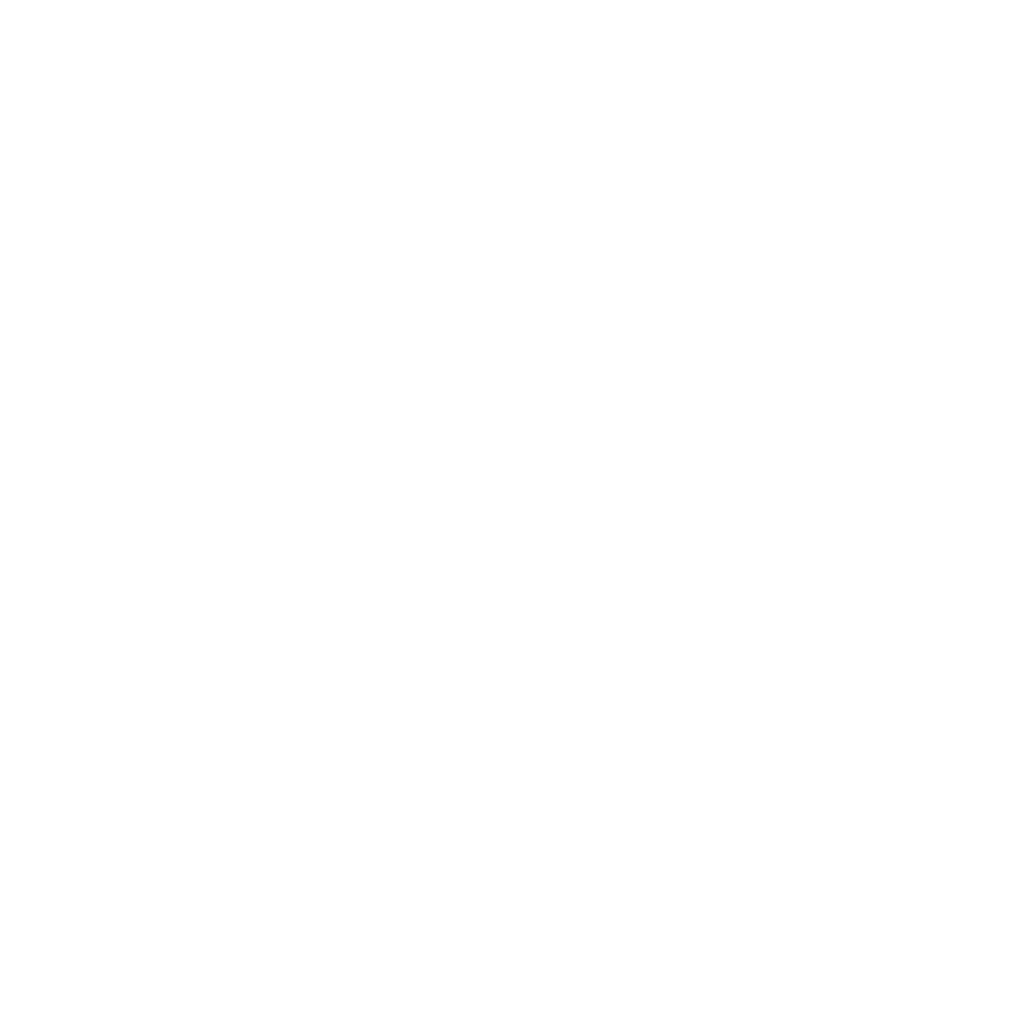 Bandidos Heavy Haul Trucking LLC